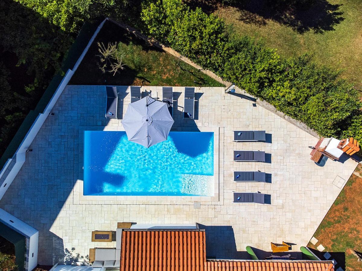 Big Swimming Pool Apartment Monvidal PUY Eksteriør bilde